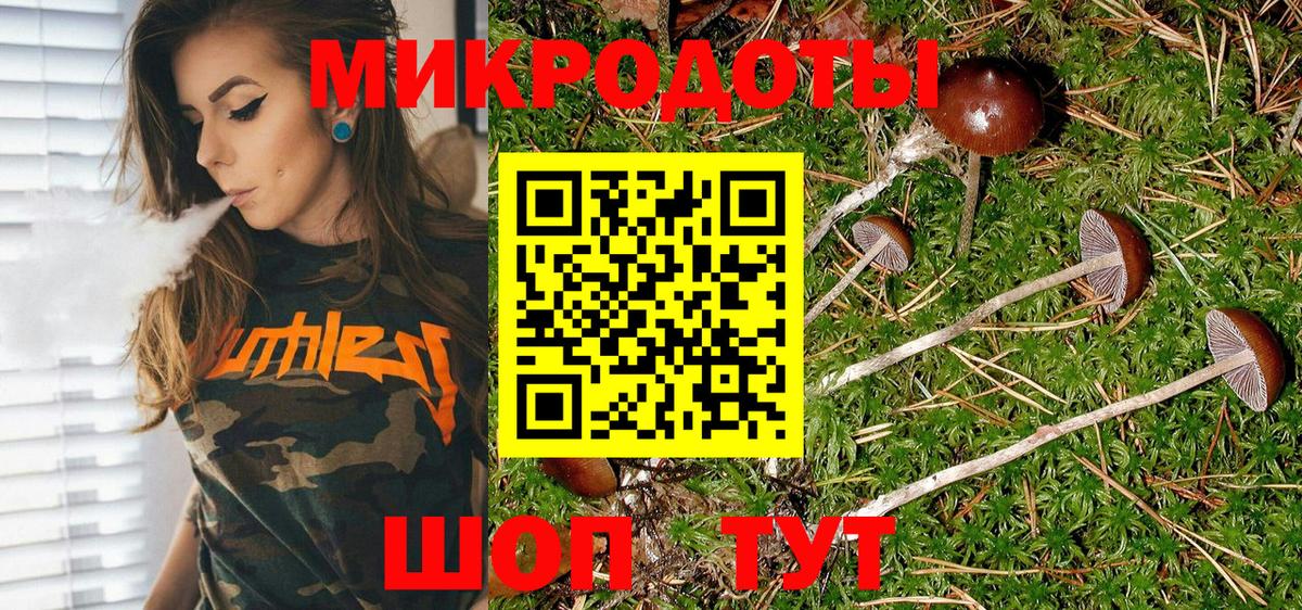 Галлюциногенные грибы Magic Shrooms  Вход с VPN  Владивосток 